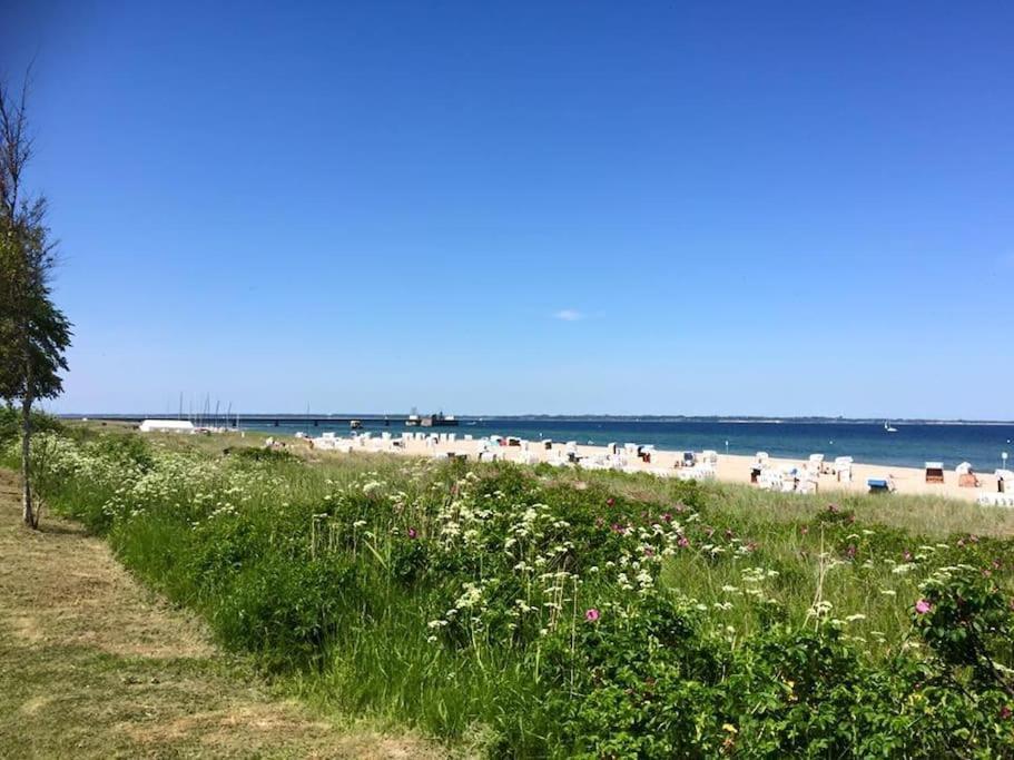 Neue Ferienwohnung Kuestennaehe Mit Terrasse 3Km Zum Strand Osdorf Exterior foto